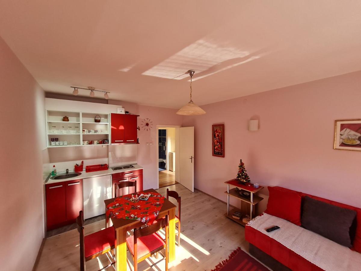 Apartman "Nina" โซโคบานยา ภายนอก รูปภาพ