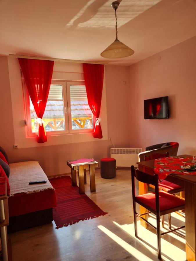 Apartman "Nina" โซโคบานยา ภายนอก รูปภาพ