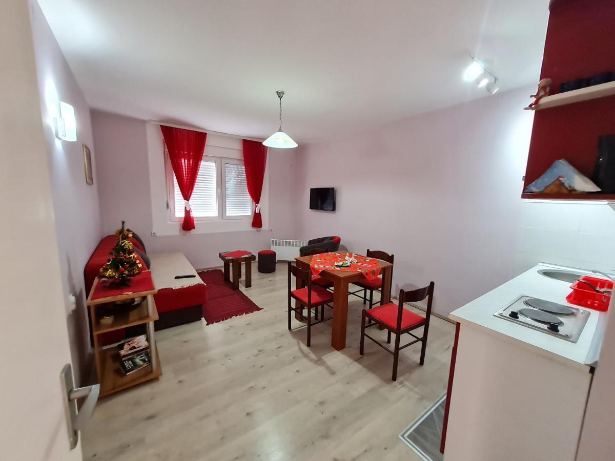 Apartman "Nina" โซโคบานยา ภายนอก รูปภาพ